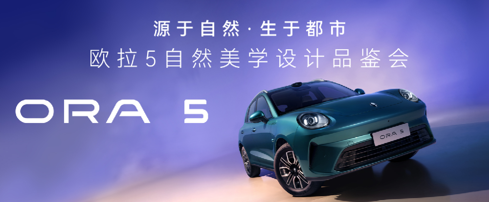 二十九號(hào)店-哈弗新能源、歐拉
